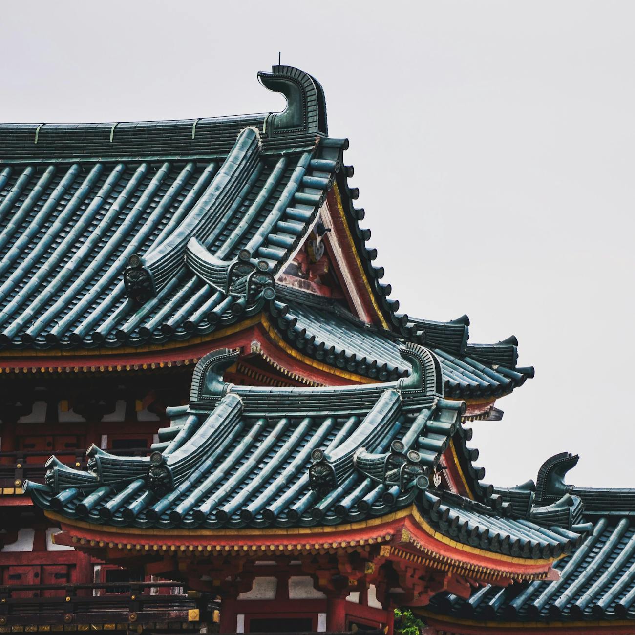 Understanding Tatami Room Layout: A Guide to Traditional Japanese Floor Design