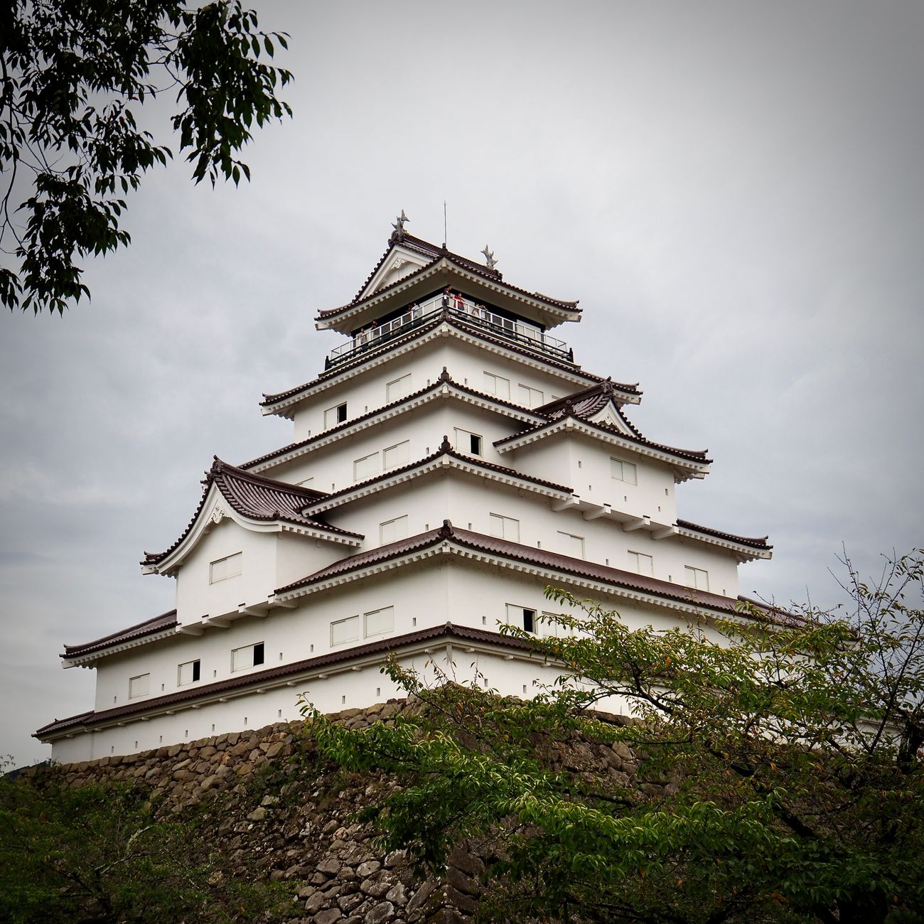 The Yayoi Period: How Rice Farming Transformed Ancient Japan