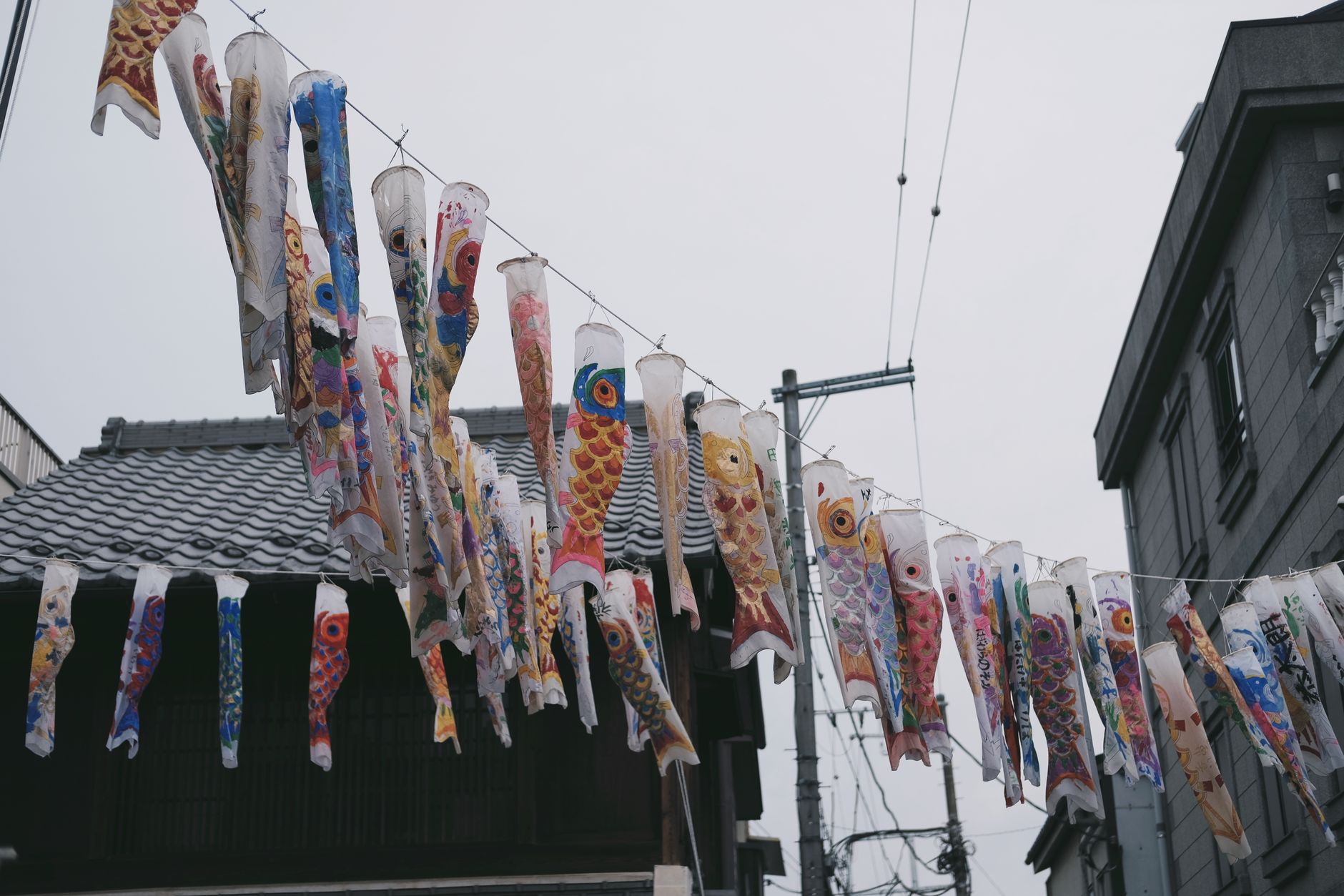 Colorful paper strips and origami decorations hanging from bamboo branches during Japan's summer star festival celebration.