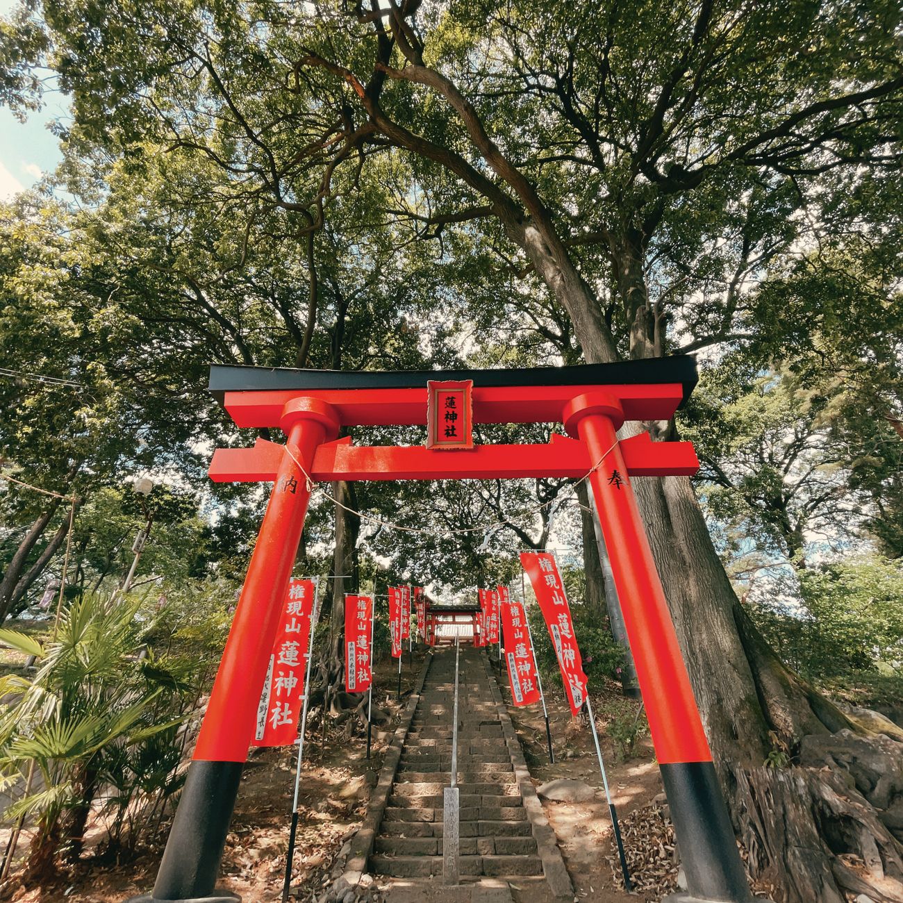 Close-up of interlocking wooden beams joined without nails using traditional Japanese joinery techniques at a temple structure.