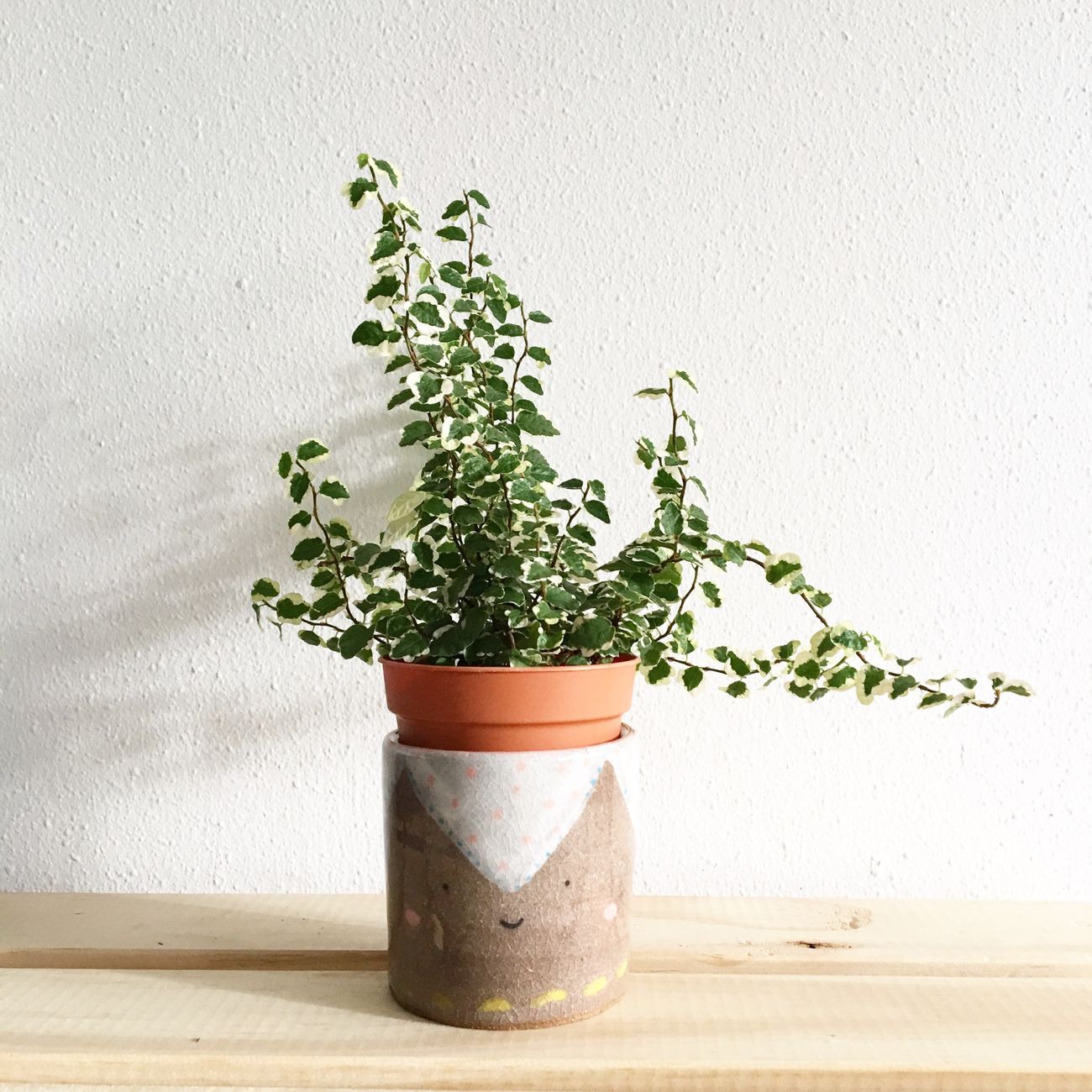 Unglazed Shigaraki pottery vase with natural ash glaze showing warm orange clay body and organic textured surface.