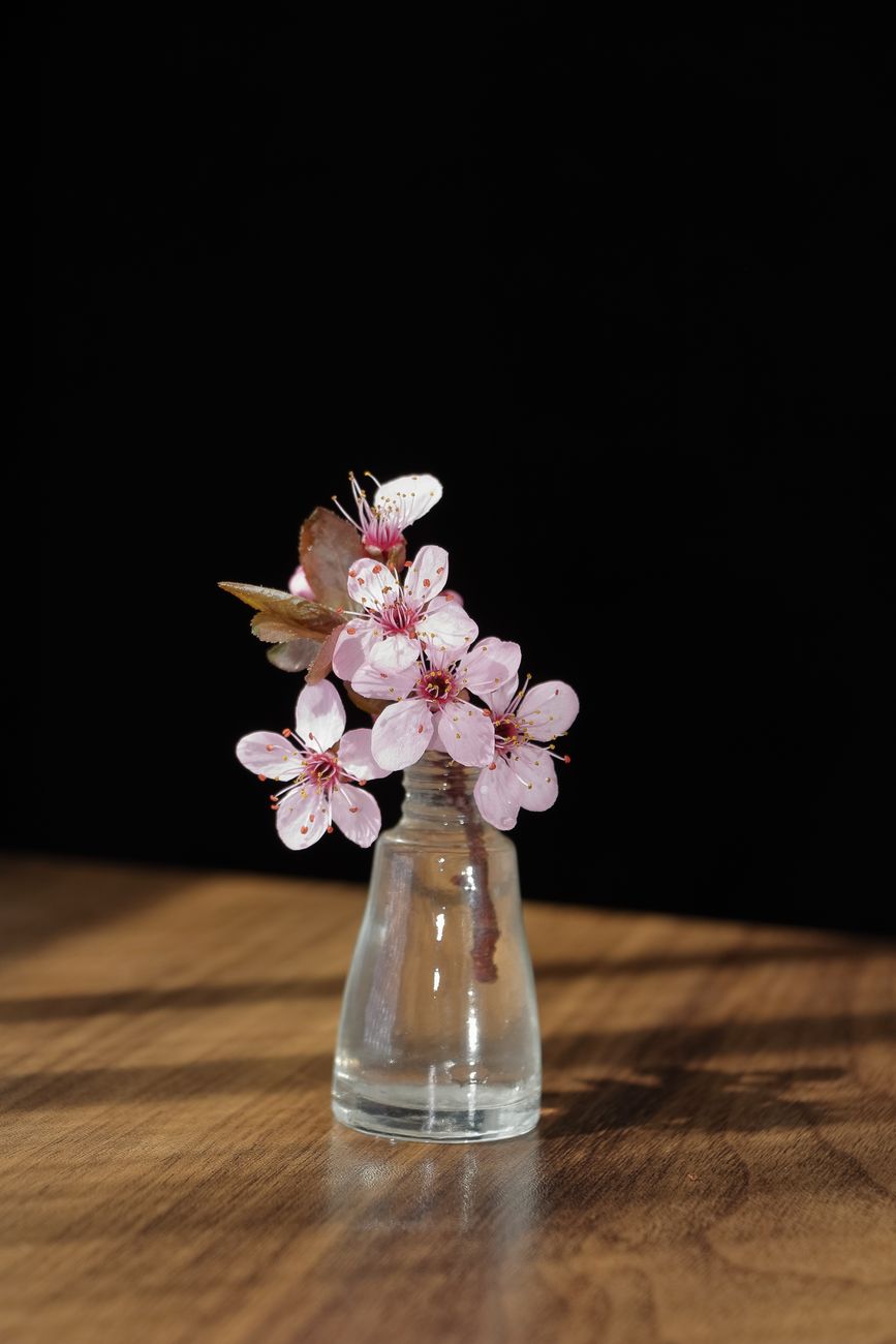Small clear glass bud vase holding a single flowering cherry branch against a dark background on a wooden table