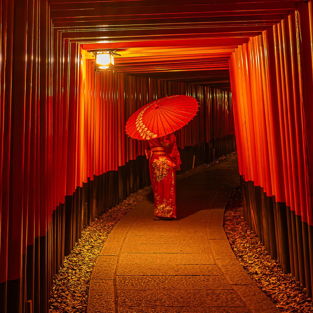 Sunlight filters through shoji screens onto a quiet tatami room where a single tea bowl rests in stillness.