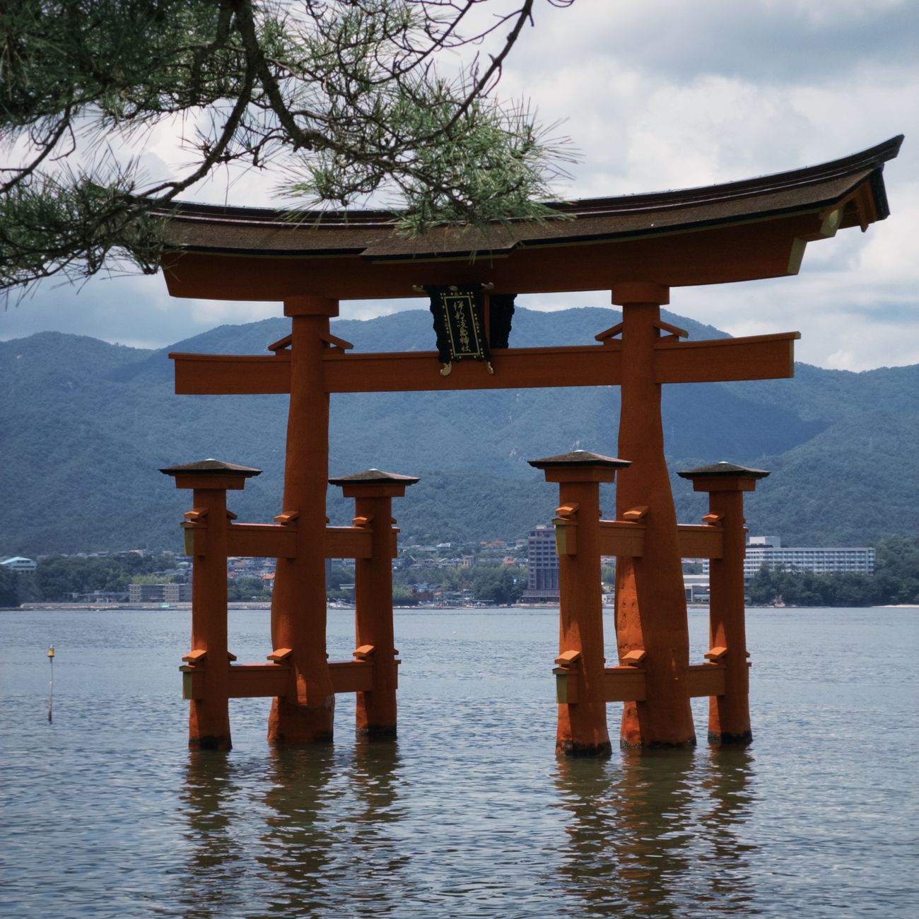 The Art of Japanese Paper Making: A Journey Through Washi's Ancient Craft