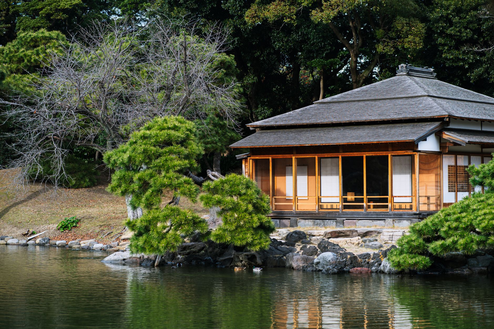 Hama-rikyū Gardens