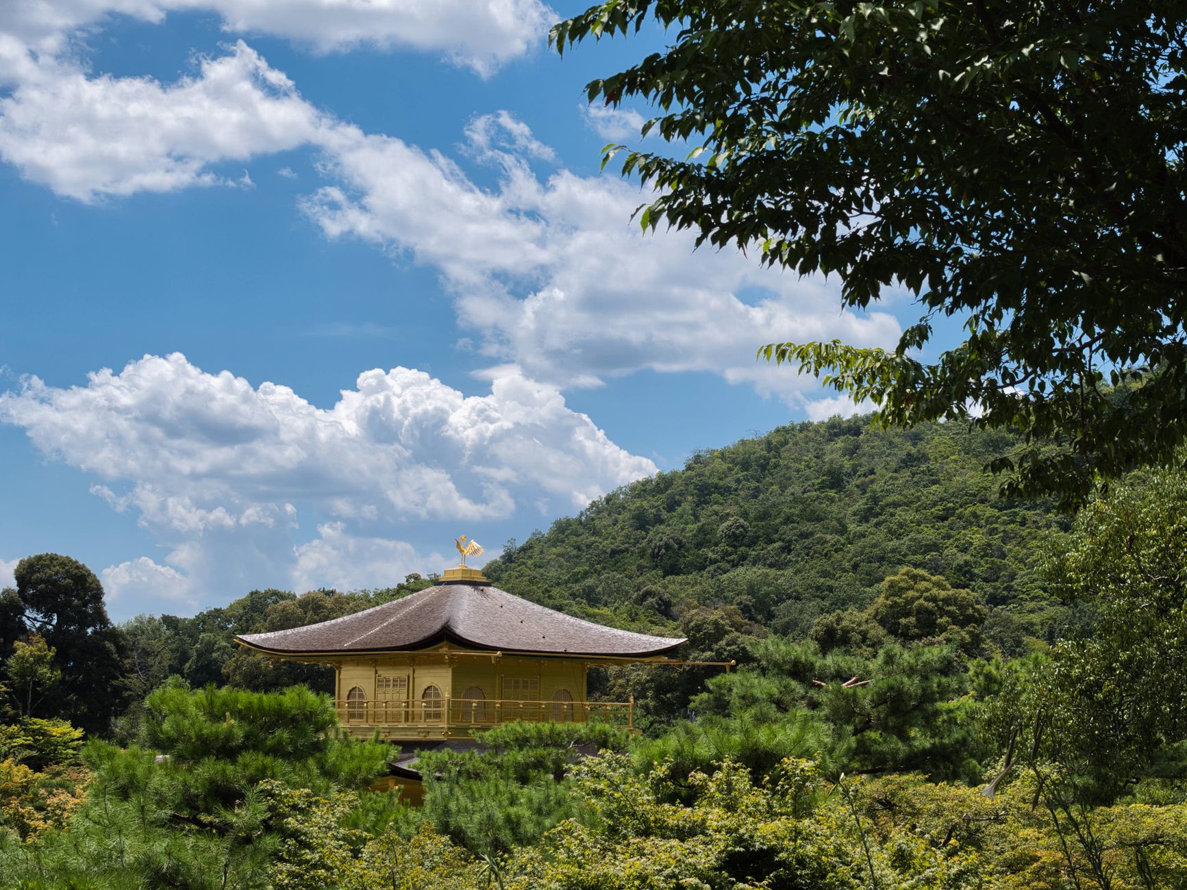 Kinkaku-ji (Golden Pavilion)