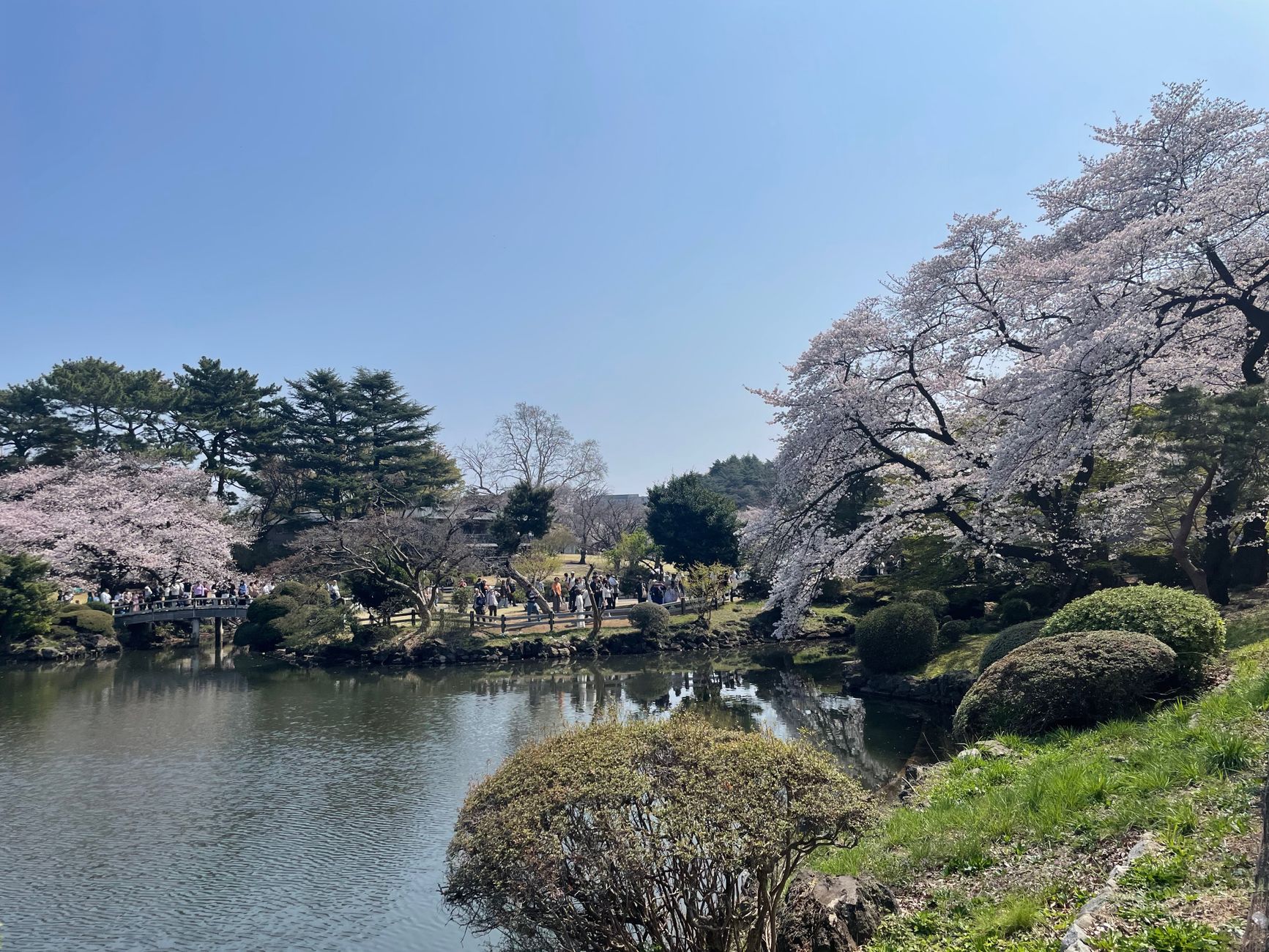 Shinjuku Gyoen