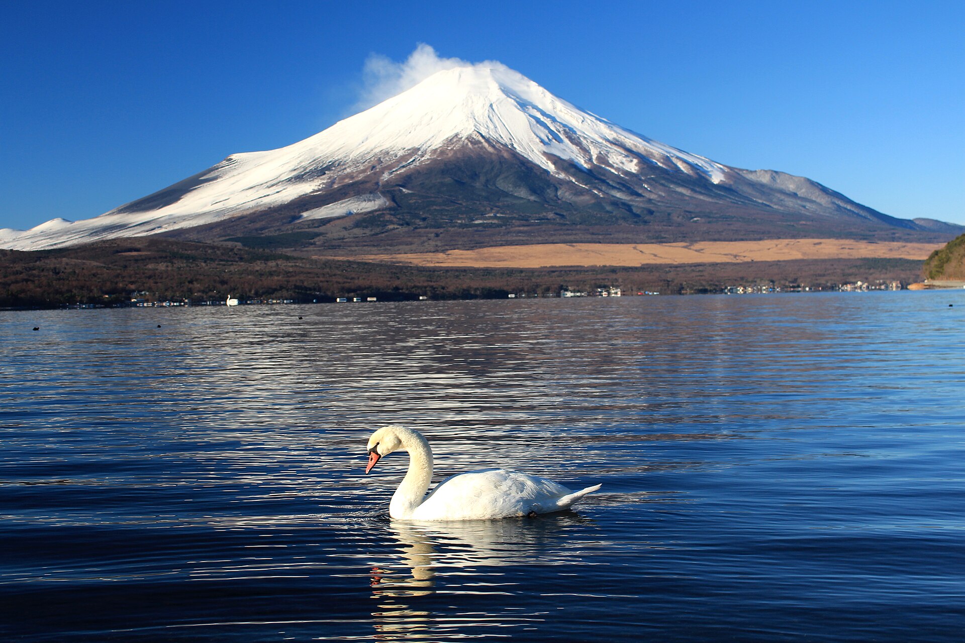 Lake Yamanaka